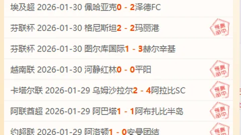 王燊超头球破门，巴尔加斯左路巧妙助攻