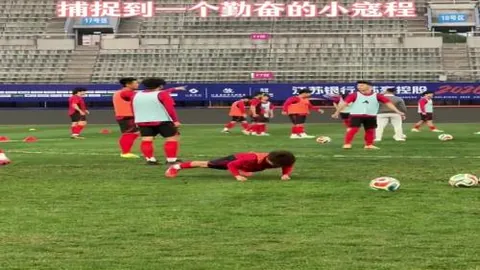 大乐透期号专家推荐分析：赖扬艾沙数据疑点连续8天胜