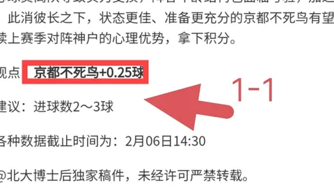 欧联杯一队警报响起，专家分析揭示胜负趋势
